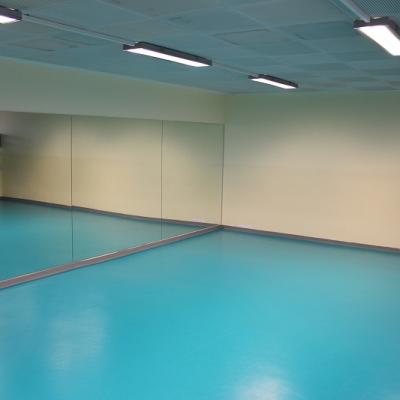 Spiegel Gym
